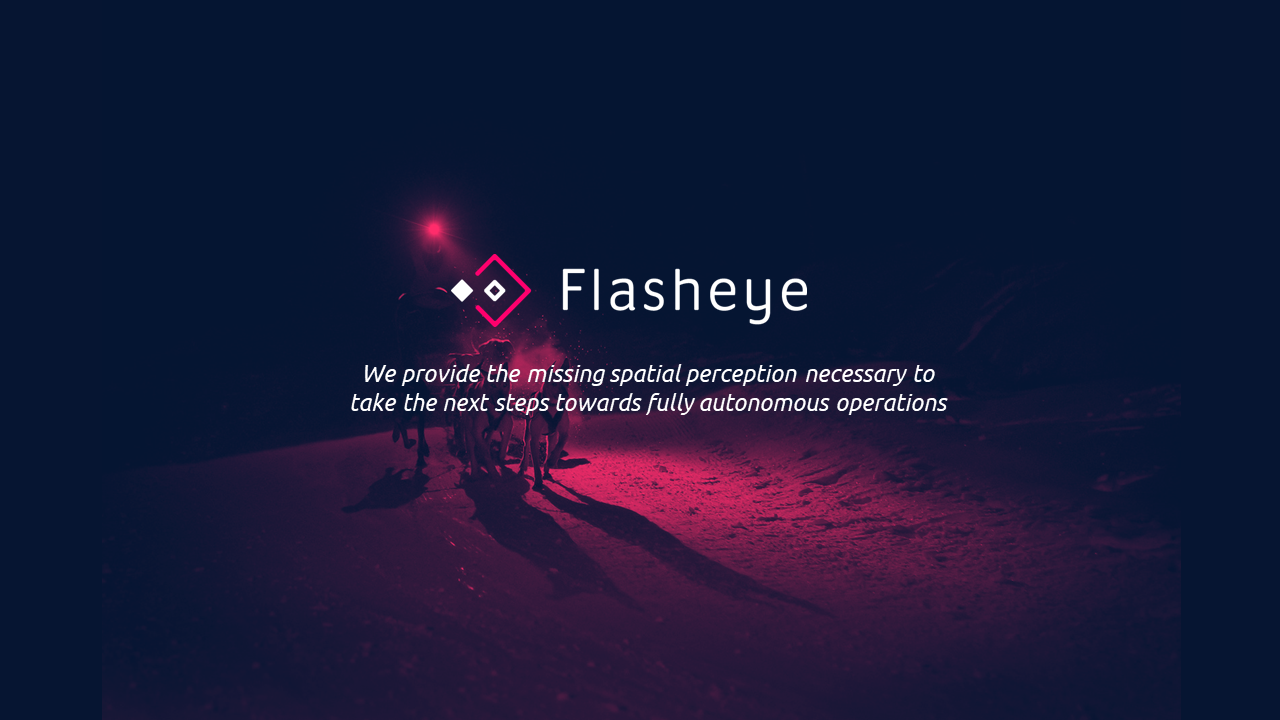 Flasheye